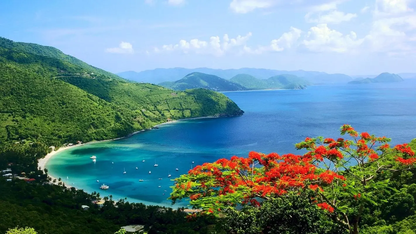 高精度电子全自动